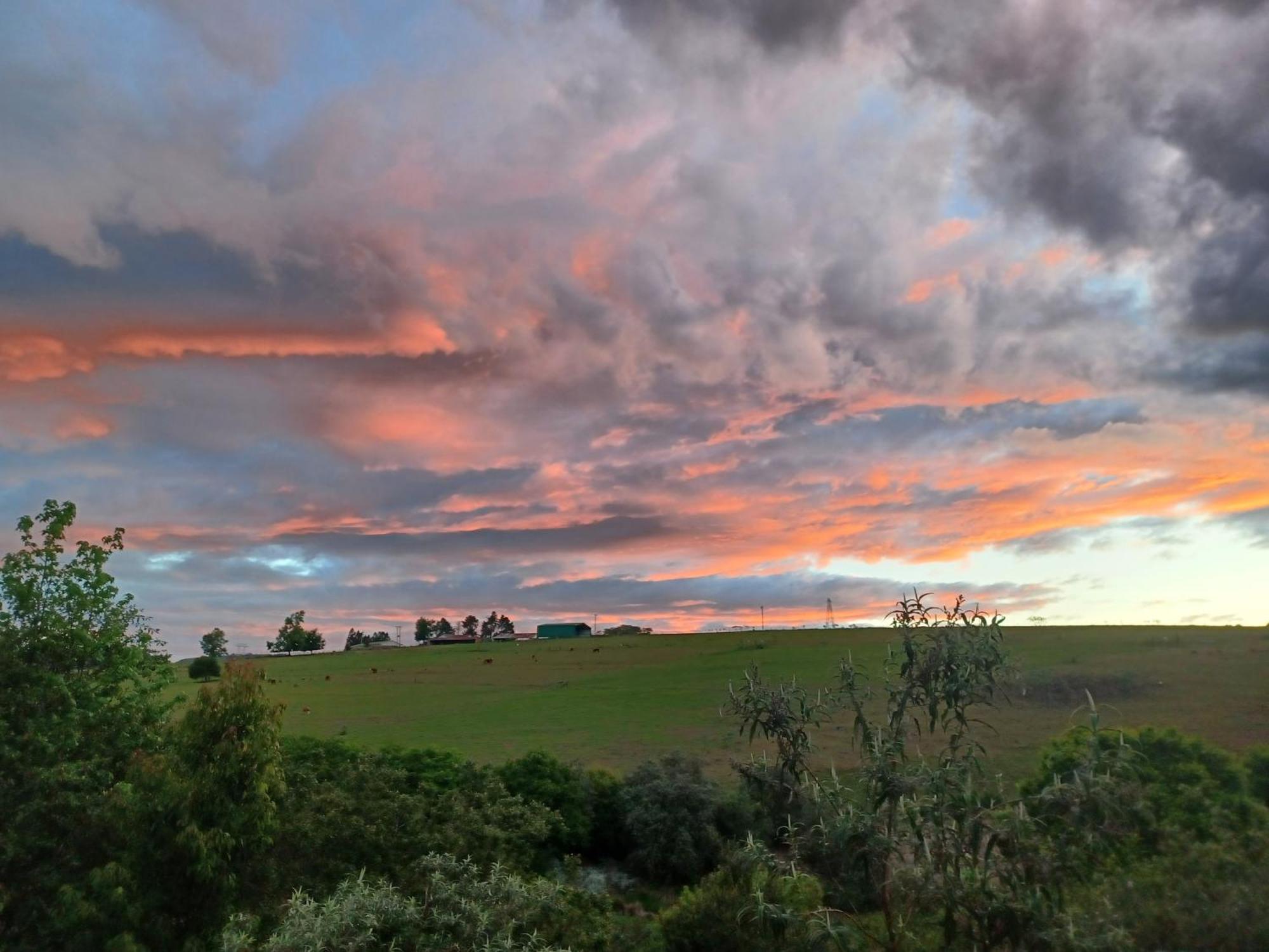 Little Fields Country House And Cottages Howick Exterior foto
